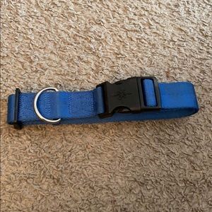Blue dog collar